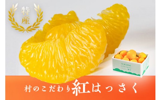 
                  八朔 紅八朔 村のこだわり 紅はっさく 約7kg 山口允張《1月中旬-2月中旬頃出荷》 徳島県 佐那河内村 送料無料 柑橘類 柑橘 果物 フルーツ はっさく べにはっさく お取り寄せフルーツ【配送不可地域あり】※離島不可 [sanagouchi_ymh_2_3kg]
                