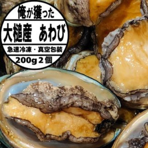 【2026年11月～発送】アワビ 200g相当×2個【冷凍】【期間限定】【35】｜三陸 岩手県 大槌町 あわび 人気 鮑 刺身 いわて iwate 2026 初栄丸