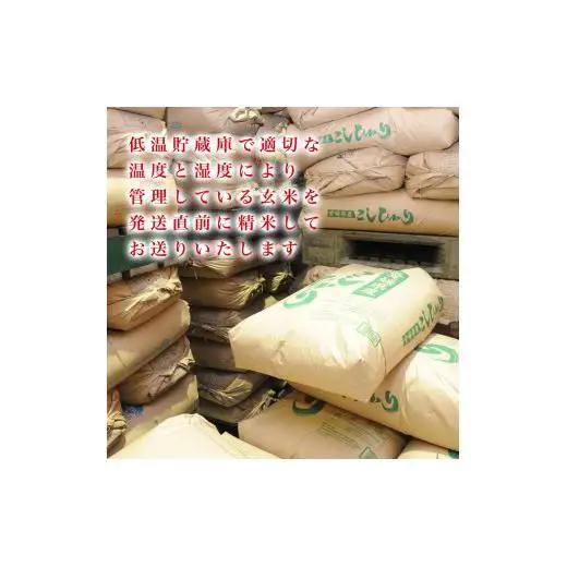 愛媛県産コシヒカリ10kg