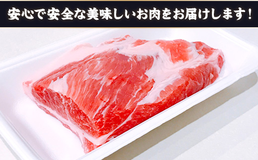 ローストポーク用肩ロース 1kg 豚肉 ブロック　AI06