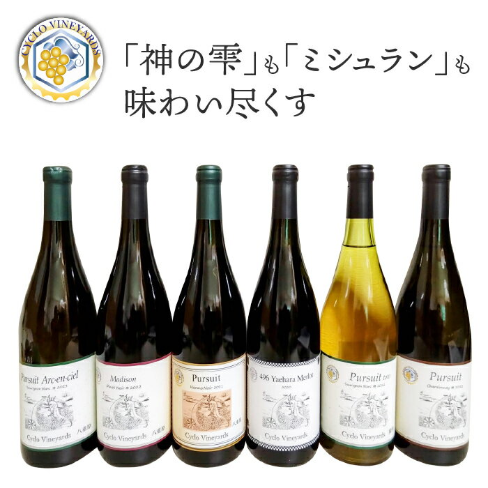 【ふるさと納税】凍霜害 応援!!　「神の雫」も「ミシュラン」も 味わい尽くす【496ワイナリー】