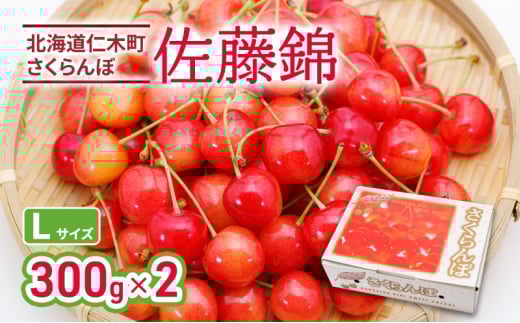 [先行受付] 北海道 仁木町産 さくらんぼ 佐藤錦 300g×2P Lサイズ  サクランボ 果物 くだもの フルーツ チェリー [林果樹園]