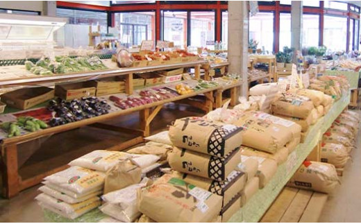 T02031 道の駅たけゆらの里おおたき特選詰め合わせB_イメージ3