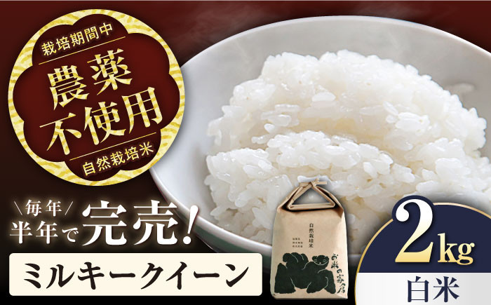 
            ミルキークイーン 2kg 白米 自然栽培米　【令和6年産】 滋賀県長浜市/株式会社お米の家倉 [AQCP002] 米 お米 白米  2kg  ミルキークイーン 自然栽培米
          