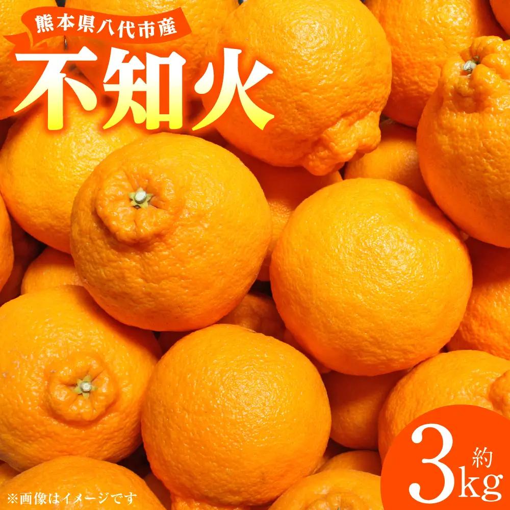 【先行予約】 不知火 約3kg しらぬい 柑橘  【2027年1月中旬より順次発送】