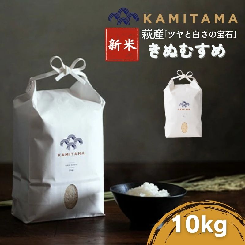 【ふるさと納税】きぬむすめ 令和7年 10kg 米 コメ こめ 萩産 KAMITAMA