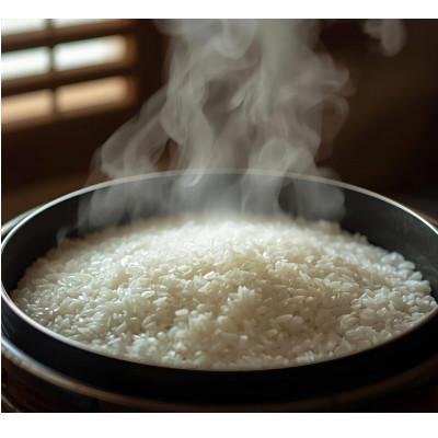 ふるさと納税 西桂町 【令和7年産 新米】山梨県西桂町産 富士山麓「水のまち」のこしひかり精米  5kg×1袋 |  | 03