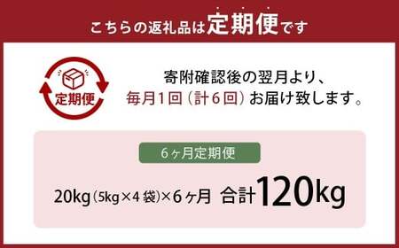 【6ヶ月定期便】 無洗米 食味鑑定士厳選 夢つくし 20kg（5kg×4袋）×6回 計120kg お米 米 白米 食品 ご飯 飯 九州 福岡県 香春町 令和7年