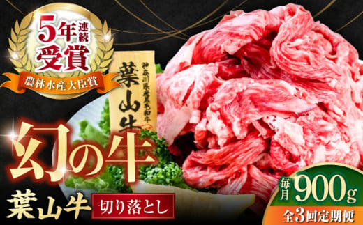 【全3回定期便】葉山牛 切り落とし300g×3パック 国産牛 牛肉 切り落とし 高級和牛 冷凍 黒毛和牛 国産 希少品種 小分け 横須賀 すき焼き すきやき ぎゅうにく きりおとし 大容量 神奈川銘品 計900g【株式会社羽根】 [AKAG030]
