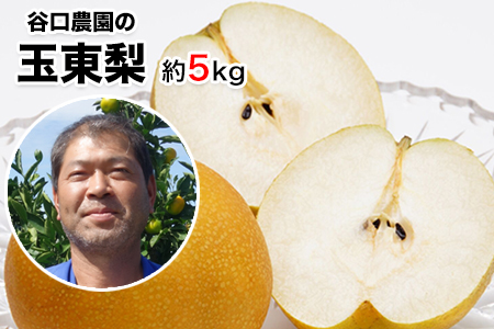 梨 谷口農園 約5kg 約6-16玉前後【日付指定・品種指定不可】| 梨