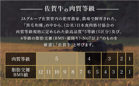 ＜定期便3回＞佐賀牛はしっこちゃん(ロース・カルビ) 計1.5kg (500g×3回)