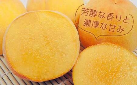 先行受付 黄金桃（有袋） 約3kg 7～12玉 ［小布施屋］令和8年産 【2026年8月下旬～9月上旬発送】 ［A-214］