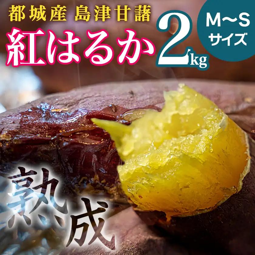 島津甘藷　熟成紅はるか 2kg(M～S)_LB-A7-001-2kg_(都城市) さつまいも 幻のサツマイモ 幻の品種 紅はるか 2kg M～S べにはるか 生芋 ベジエイト 熟成 芋 定番 焼き芋 