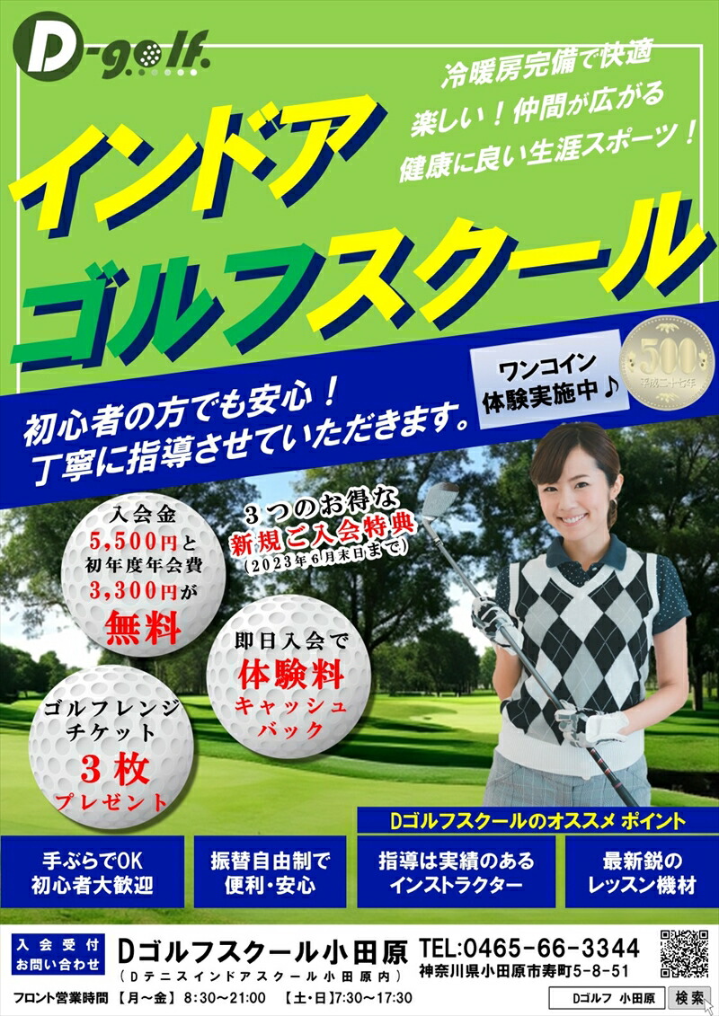 D-ゴルフ小田原　会員限定　１ヶ月レッスン料　土日ナイター　４回　一般【 神奈川県 小田原市 】