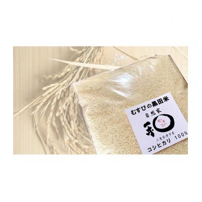 ふるさと納税 津市 《新米 先行予約》むすびの黒田米 こしひかり 5キロ[53720075] |  | 01