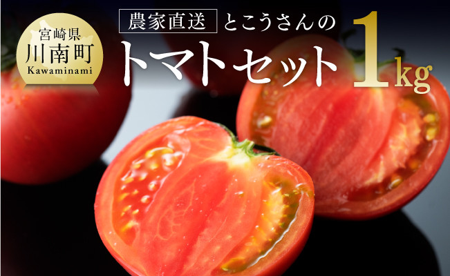 
            宮崎県産とまと とこうさんのトマト1ｋｇ(9～18個) 【 宮崎県産 九州産 川南町産 トマト とまと 野菜 ヘルシー】
          