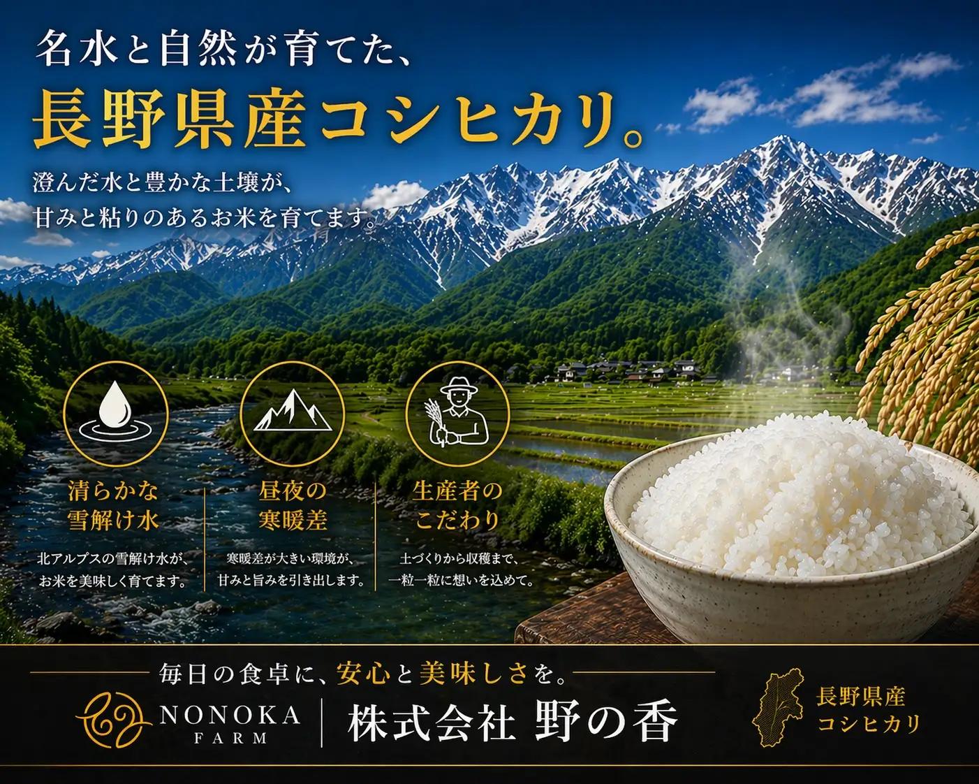 【2026年米 先行予約】金芽米 生坂村産コシヒカリ 無洗米 10kg(5kg×2袋) 長野県産 | コシヒカリ
