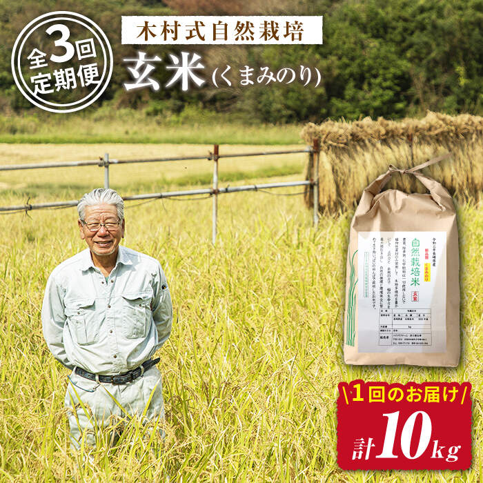 【ふるさと納税】【 令和6年度産 新米】【3回 定期便 】【木村式自然栽培】 玄米 くまみのり 10kg ＜ハマソウファーム＞ [CBR022] 米 お米 ご飯 ごはん 新鮮 ふっくら おいしい