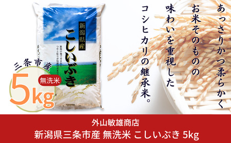 無洗米 こしいぶき 5kg 新潟県三条市産無洗米 令和7年 外山敏雄商店