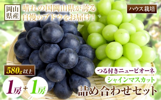 【先行予約】岡山県産 つる付き！ニューピオーネ & シャインマスカット セット ハウス栽培 つる付きニューピオーネ1房(580g)+つる付きシャインマスカット1房(580g) 有限会社ホーティカルチャー神島《7月中旬-8月中旬頃出荷》岡山県 笠岡市 晴王 ぶどう 詰め合わせ【配送不可地域あり】