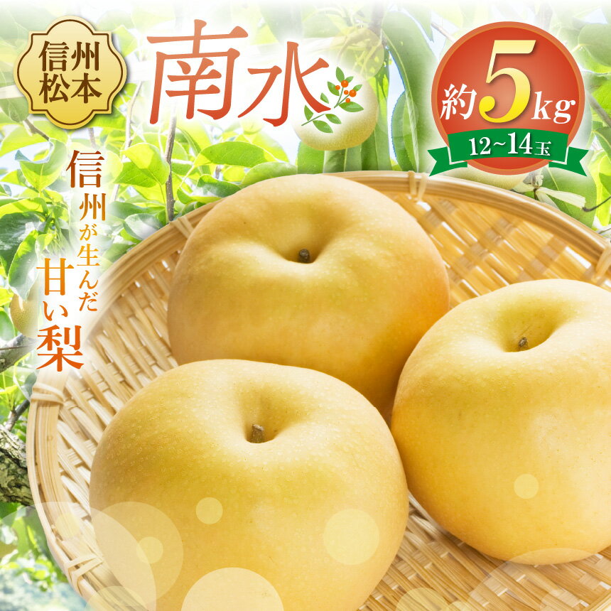 【ふるさと納税】【先行受付】南水 12～14玉 （約5kg）｜ふるさと納税 長野県 松本市 豊水 梨 甘い ジューシー フルーツ 大人気