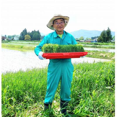 ふるさと納税 花巻市 銀河のしずく 厳選プレミアム(栽培期間中農薬・化学肥料削減)白米 5kg タカハシ農園 |  | 02