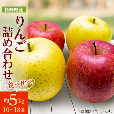 りんご サンふじ＆シナノゴールド 詰め合わせ 約5kg(10～18玉程度)【1582012】