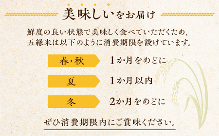 五縁米5 kg　こしひかり お米 ごはん コシヒカリ 白米 5キロ 産地直送 愛知県 田原市 