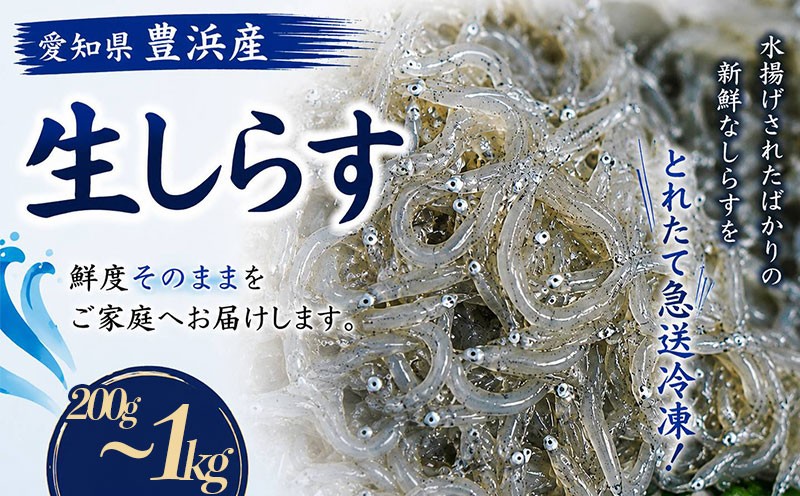 
                  容量選べる 訳あり 生しらす 200g~1kg 小分け 簡易包装  小分け 冷凍 便利 簡単 パック 生しらす シラス 生しらす丼 しらす お刺身 海鮮丼 しらす丼 生しらす 生姜 醤油 生しらす シラス 新鮮 海鮮 ふるさと納税刺し身 お吸い物 魚貝 海産物 魚貝類 海の幸 魚 小魚 さかな ふるさと納税しらす ふるさと納税刺身 人気 おすすめ 愛知県 南知多町 愛知県 南知多町
                