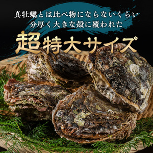殻付き 岩牡蠣 4個 加熱用 | 牡蠣牡蠣牡蠣牡蠣牡蠣