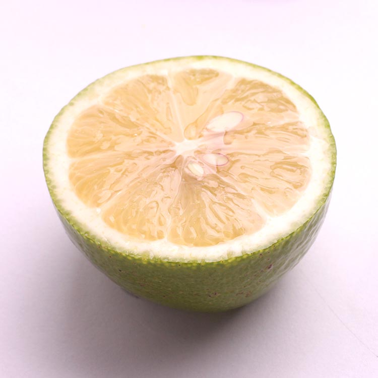 ＜9月より発送＞家庭用 レモン1.5kg+250g（傷み補償分）【和歌山有田産】【防腐剤・WAX不使用、安心の国産レモン】【わけあり・訳ありレモン】 ※北海道・沖縄・離島への配送不可 ※2025年9月中旬～2026年4月下旬頃に順次発送予定