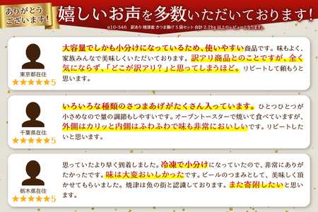 a10-546　訳あり 焼津産 さつま揚げ 5袋セット 合計 2.2kg以上