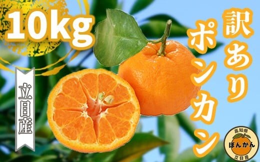 【早期予約開始】 2026年1月中旬より順次発送 ポンカン 訳あり 10kg サイズ混合 家庭用 立目 ブランド 果物 フルーツ 冬 柑橘 2026年 収穫分 みかん 蜜柑 デザート 高知県 須崎市 TMS005