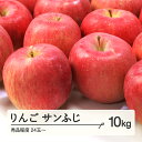 【ふるさと納税】 りんご サンふじ 秀品程度 約10kg(24~50玉) 山形県産 tf-risfs10