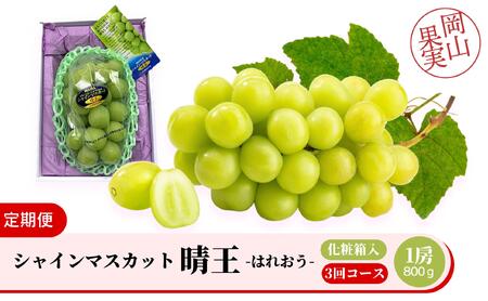 ＜定期便全3回＞シャインマスカット晴王1房800ｇ化粧箱入　3回コース