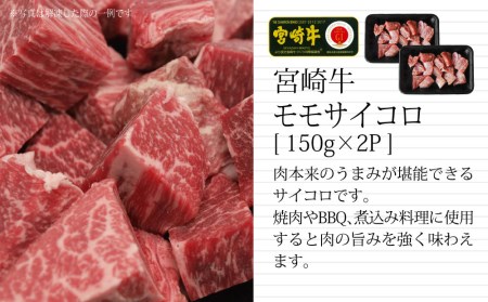 ＜宮崎牛＞2種類の部位を堪能！サイコロ肉 600g※90日以内発送【B463】	