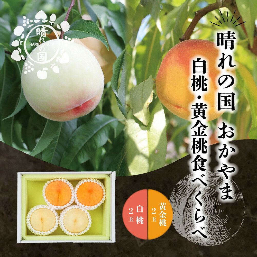 【ふるさと納税】【内容量が選べる】晴れの国 おかやまの白桃＆黄金桃食べ比べ4玉又は6玉 ＜先行受付：2026年8月下旬～発送＞