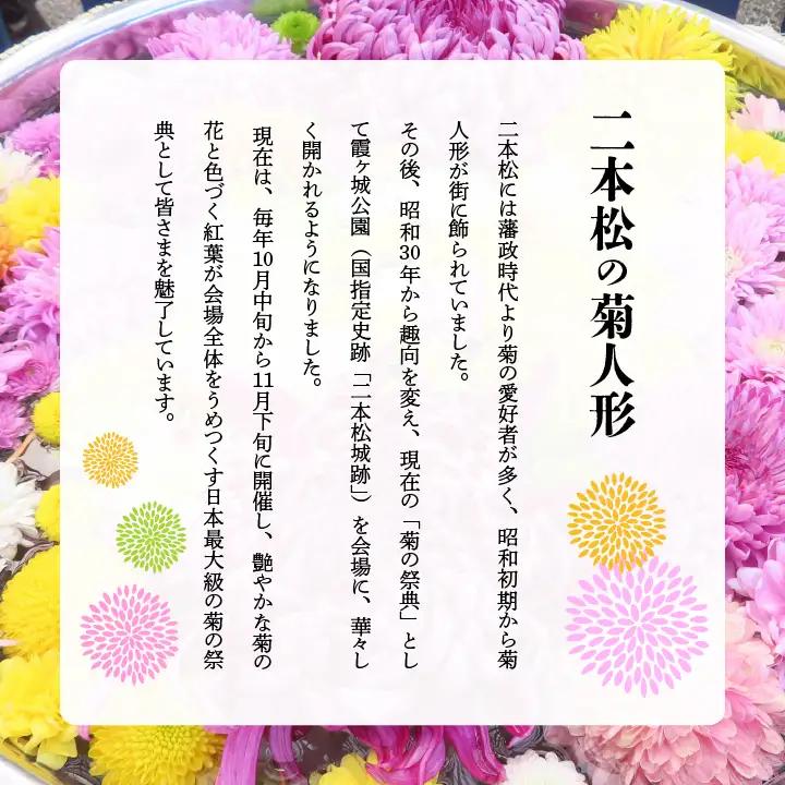 二本松の菊人形 1名様分 入場券【一般財団法人二本松菊栄会】