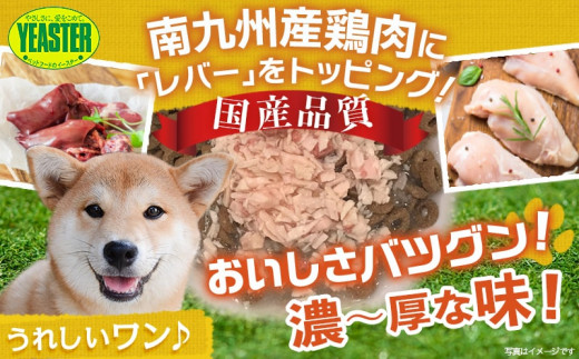 
【柴犬専用】フードのお供に☆うまみ和え鶏 (レバー入り) 15袋_LF-3306_(都城市) 国産 柴犬専用 犬用フード ウェットフード 鶏 ペットフード レバー入り
