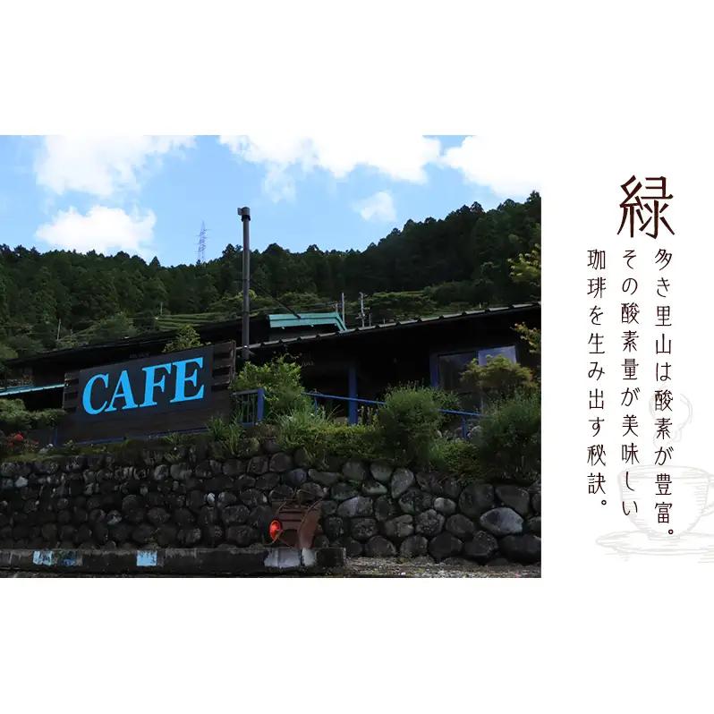 【定期便3か月】フルーティ珈琲2種（モカ・ホンジュラス）  ペーパードリップ用粉 コーヒー粉 珈琲粉 コーヒー 静岡 浜松市