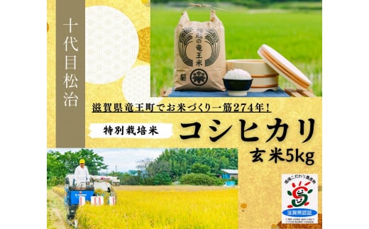 【新米予約】 コシヒカリ 玄米 5kg 縁起の竜王米 ( 令和6年産 先行予約 新米 玄米 5kg おこめ ごはん 米 特別栽培米 ブランド米 ライス こだわり米 ギフト 国産 縁起の竜王米 滋賀県竜王町 )