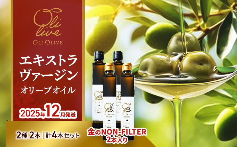 【生産予約】オリーブ通が選ぶ最高峰、金のNON-FILTER2本入りEVOO 計4本セット【2025年12月発送】エキストラ ヴァージン オリーブオイル イタリア トスカーナ産 袋井市 静岡県