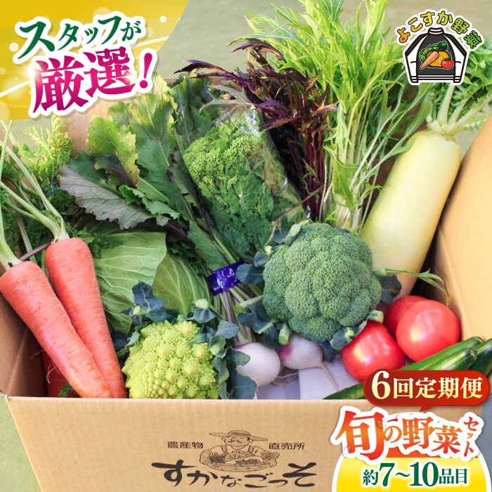 【ふるさと納税】【全6回定期便】よこすか野菜セット すかなボックス 野菜 お野菜 季節野菜 やさい 詰め合わせ 詰合せ セット お楽しみ 産地直送 旬 厳選 すかなごっそ 農産物 神奈川県 横須賀市 【JAよこすか葉山】[AKFO008]