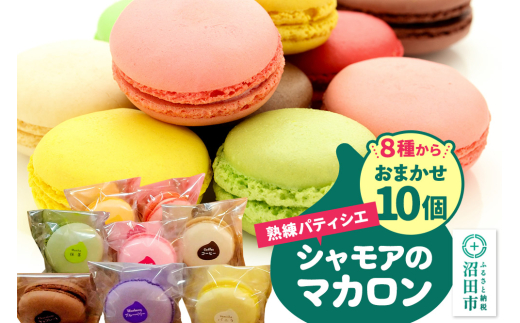 シャモアのマカロン おまかせ 10個入 詰め合わせセット（オレンジ・コーヒー・ラズベリー・抹茶・バニラ等8種の中から10個） [個包装 焼き菓子 スイーツ スウィーツ 洋菓子 人気 お取り寄せ お菓子]