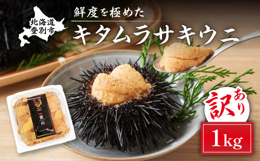 規格外品 キタムラサキウニ1kg 100gパック × 10個 うに 高級 ウニ 雲丹 生ウニ 塩水 人気 ふるさと納税 北海道 登別市 ※2025年6月下旬～順次発送