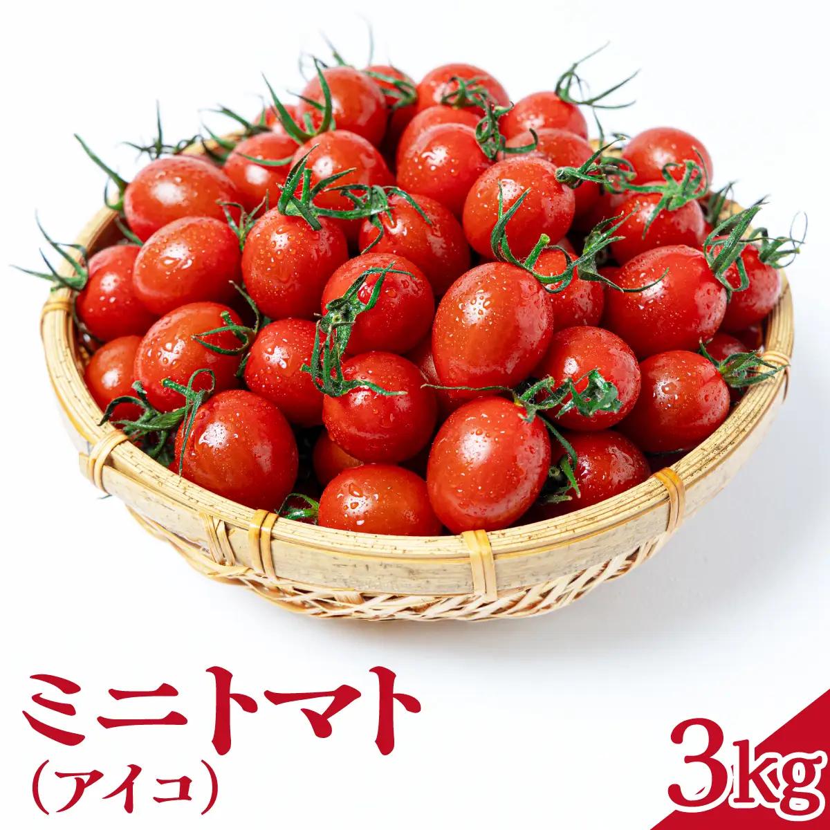 【先行予約】ミニトマト（アイコ）　3kg　Mサイズバラ詰め