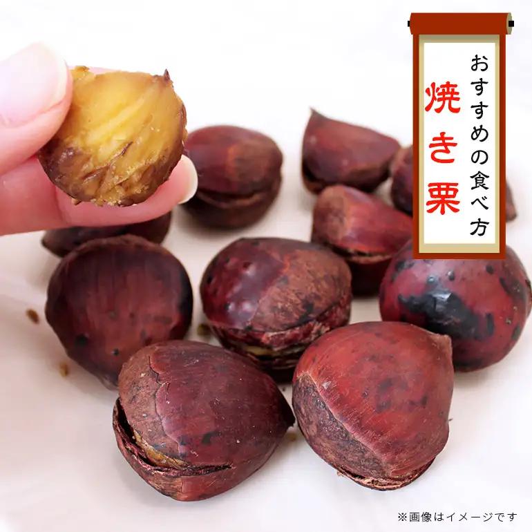 熟成生栗 2kg 栗 2L JV-004