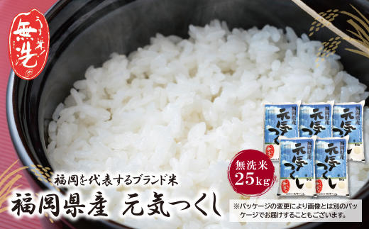 福岡の人気銘柄!!無洗米 福岡県産・元気つくし25kg 無洗米 むせんまい 米 コメ 25kg キャンプ 研がなくていい  5kg×5 TWR 25キロ 箱入り 手間なし カンタン 簡単 福岡 元気つくし 元気づくし 手軽 リピート 日時指定 ギフト お中元 お歳暮 手にやさしい 時短 コスパ 福岡県限定銘柄 人気上昇中	