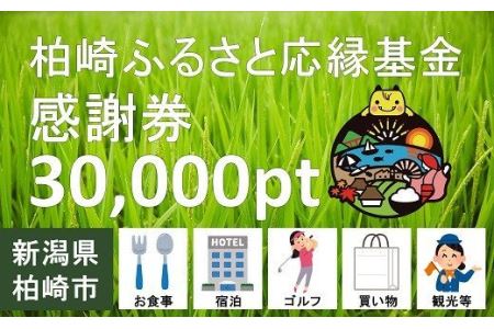 柏崎ふるさと応縁基金感謝券（30,000pt）[ZE923]