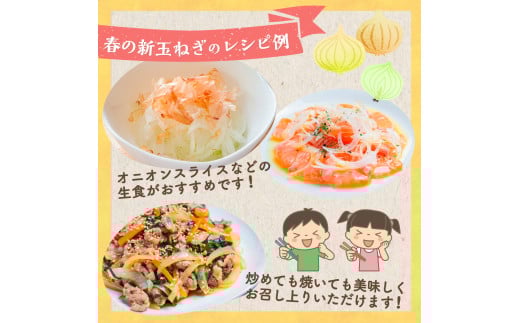 牟田農園の春の新玉ねぎ 5kg （S～L） 【2026年4月上旬～6月上旬迄順次発送予定】 たまねぎ タマネギ 野菜 新玉ねぎ 玉ねぎ 佐賀県 太良町 農家直送 M108